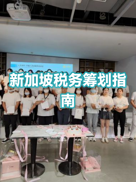 消费咨询税务筹划(消费税税务筹划)芒市