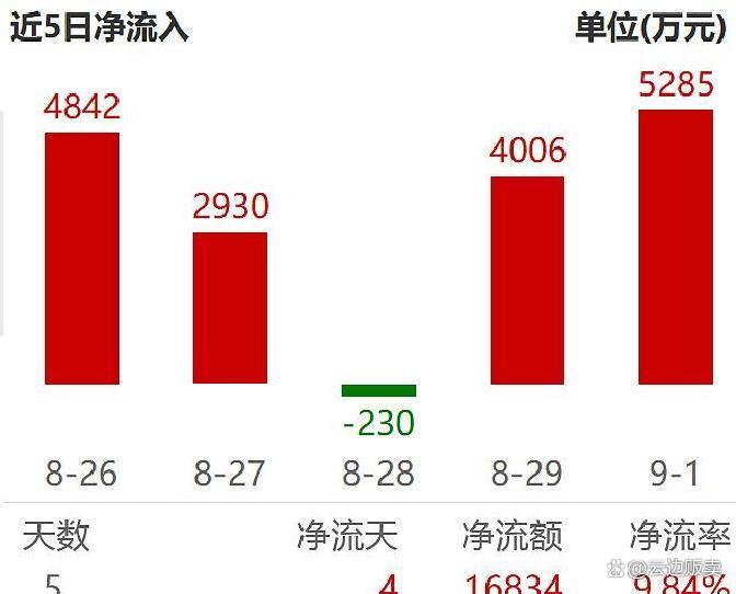 上市板块定位风险(上市各种板块什么意思?)芒市