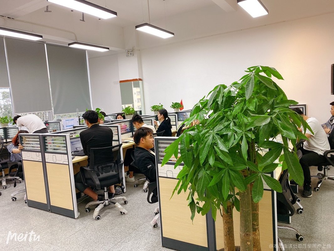 资本路径规划工具(资本路径是什么意思)芒市