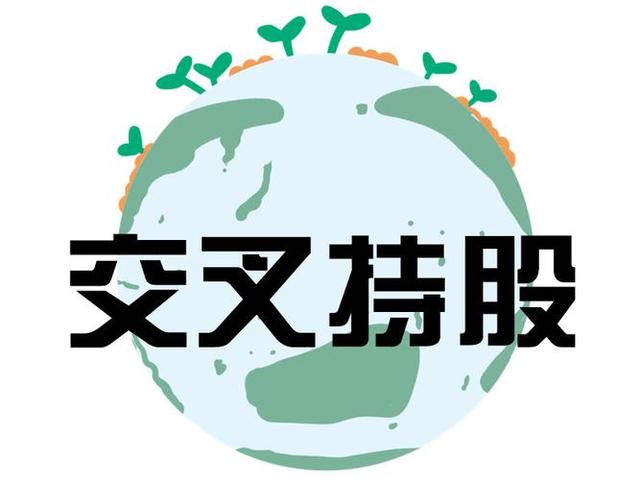 交叉持股安排设计(交叉持股怎么计算持股比例)芒市